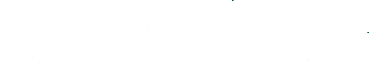 OptionZones Logo